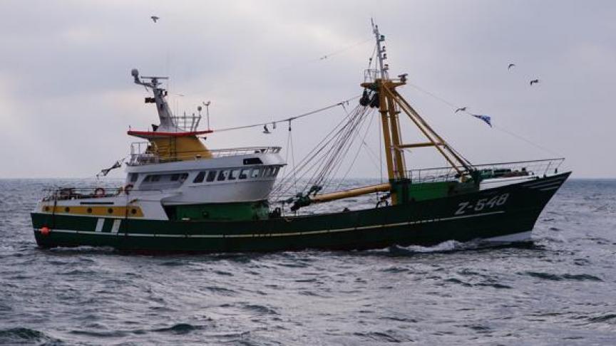 De Vlaamse vloot is goed voor ongeveer 70 vissersvaartuigen en bijna 400 vissers.