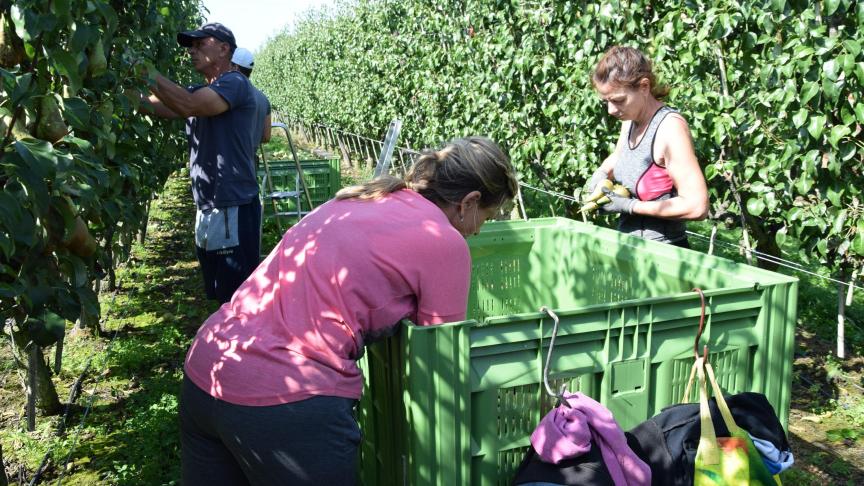 De Europese Commissie trok in de zomer van 2018 naar het Europees Hof van Justitie met een klacht tegen België. De Commissie trekt nu haar klacht in ons land de richtlijn rond seizoensarbeid alsnog heeft omgezet in nationaal recht.