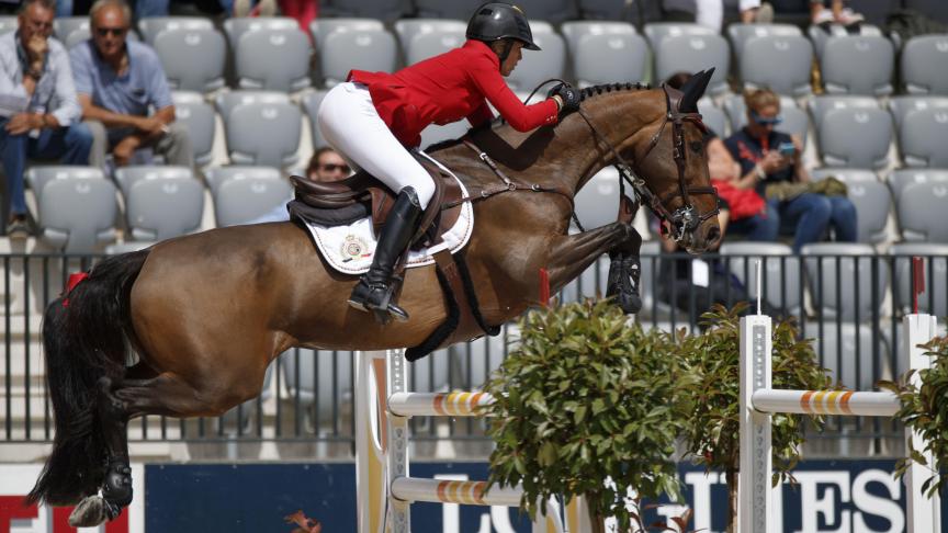 Vorig jaar werd Seacoast Pebbles Z verkozen tot Landbouwleven Paard van het Jaar.