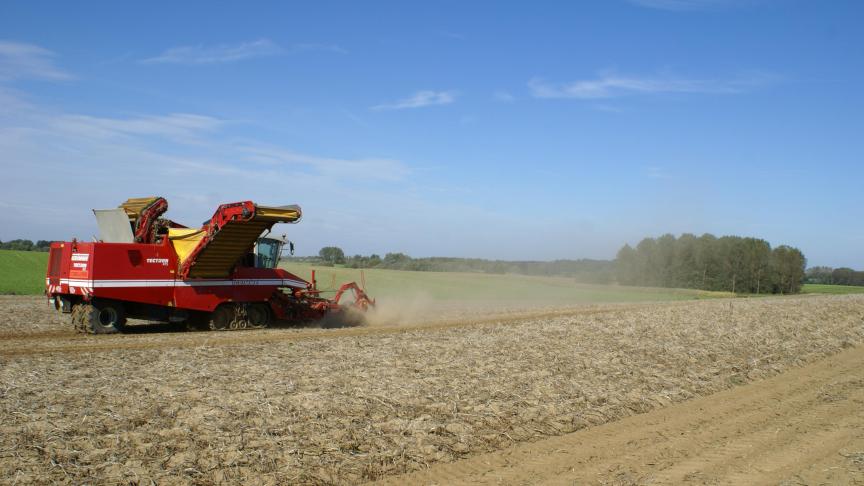 Landbouweconoom Bart Verstrynge vermoedt dat in de land- en tuinbouwsector boeren
te weinig zicht hebben op hun bedrijfscijfers.