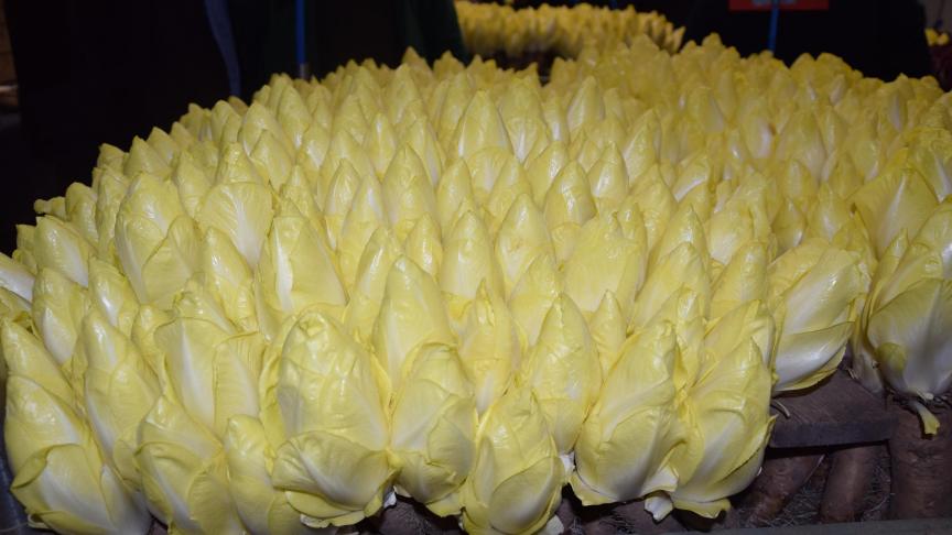 Doel van het project is om de landbouw en burgers dichter bij elkaar te brengen.