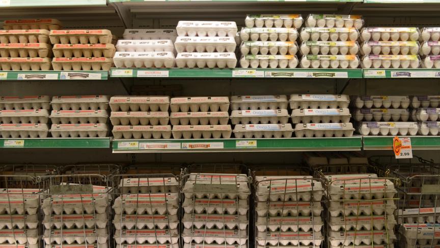 Van Beek en Lodewijckx zijn samen de nummer 2 op de Europese eiermarkt.