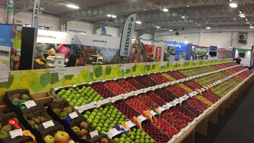 Greenyard behoort tot de grootste leveranciers van groenten en fruit in Europa.