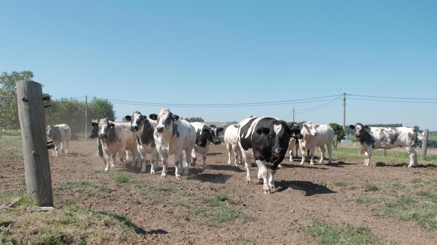 De droogte van 2018 hakte er op veel bedrijven flink in.