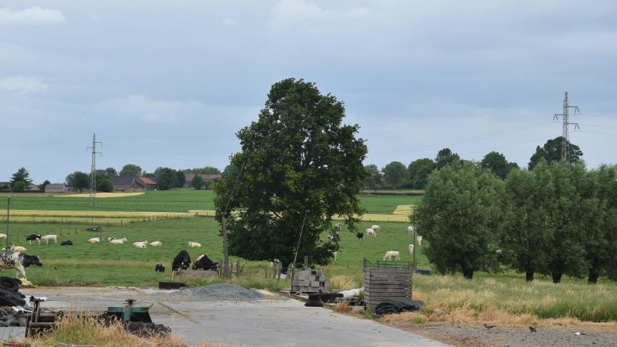 De veehouder in kwestie stond al onder begeleiding van Boeren op een Kruispunt. Op de foto een willekeurig veeteeltbedrijf.