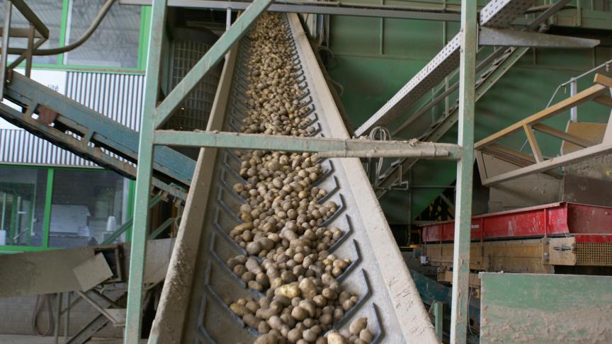 Aviko denkt met een fabriek in China beter in te kunnen spelen op de groeiende vraag naar friet in het immense Chinese land.