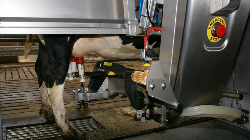 Dagelijkse melkproductiegegevens kunnen helpen om veerkrachtigere koeien te fokken die beter tegen een stootje kunnen.