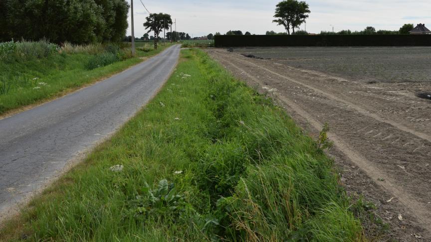 De waterkwaliteit in het Vlaamse landbouwgebied boert verder achteruit. Dat blijkt uit rapporten van de Vlaamse Landmaatschappij (VLM) en de Vlaamse Milieumaatschappij (VMM).