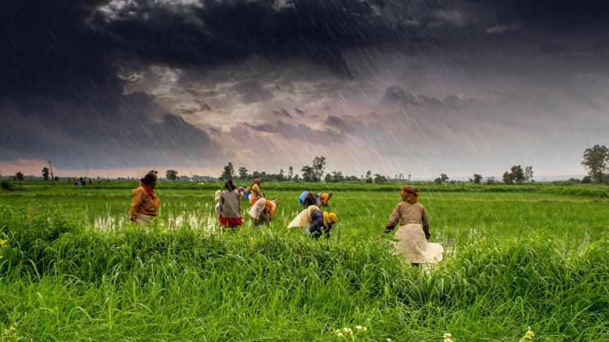 De Indiase regering wil het inkomen van landbouwers de komende jaren verdubbelen.