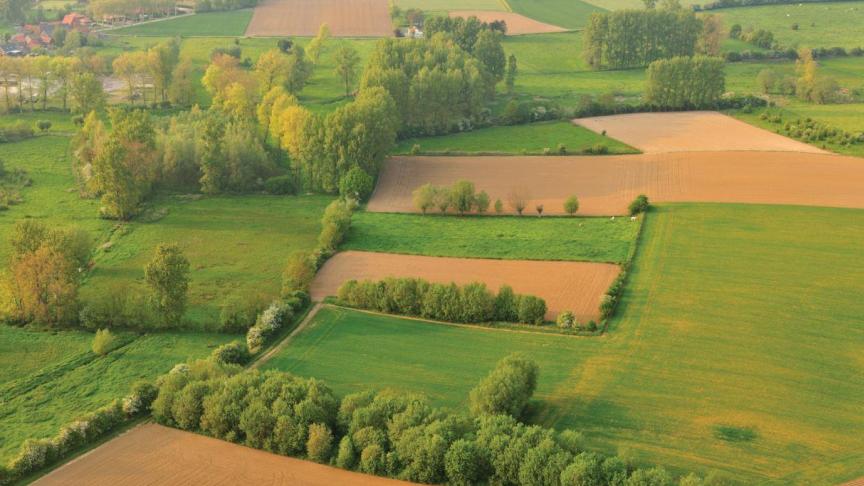 In het Waalse regeerakkoord schreef de Waalse regering dat ze 4.000 km hagen wil aanplanten. Die aankondiging heeft voor een stormloop op de subsidies gezorgd.