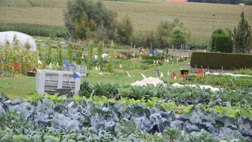 Boeren kunnen hun producten zelf aan de man brengen, maar het helpt als de gemeente mee ondersteunt door bijvoorbeeld grond ter beschikking te stellen, boerenmarkten te organiseren of met handelaars af te spreken dat ze ook lokale producten aanbieden.