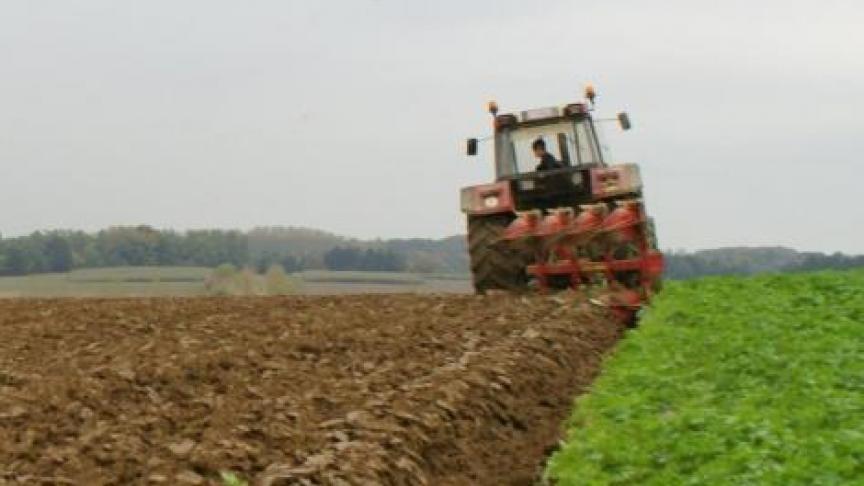 Vanaf 2020 is het echter verplicht in gebiedstypes 2 en 3, dat diegene die de teelt verbouwt (hier de huurder), ook de registratie doet voor de mestwetgeving.