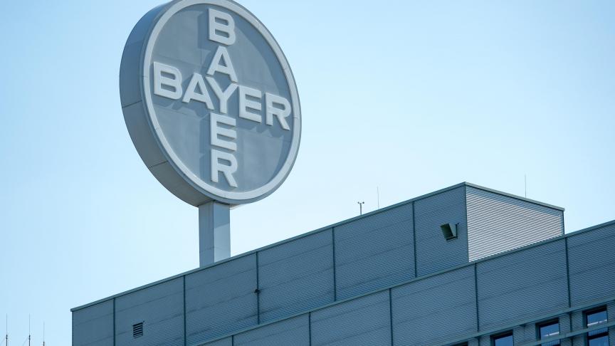 Chemiereus Bayer heeft een nieuw molecuul voor het bestrijden van onkruid ontdekt.