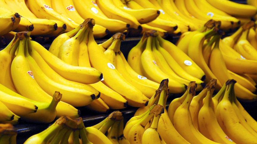 Suriname neemt het Deprez, de eigenaar van Greenyard, kwalijk de stekker uit een bananenplantage te trekken.
