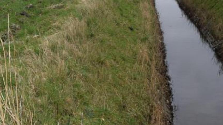 Voor de komende maand wordt een verdere stijging van de grondwaterpeilen verwacht door het verder insijpelen van de recente regen en de regen die we de komende dagen verwachten.