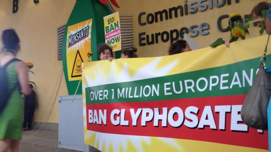 De gewesten zijn bevoegd om het gebruik te regelen. Voor de werkzame stof glyfosaat is in Vlaanderen al een verbod ingesteld: glyfosaat mag niet meer worden gebruikt door particulieren.