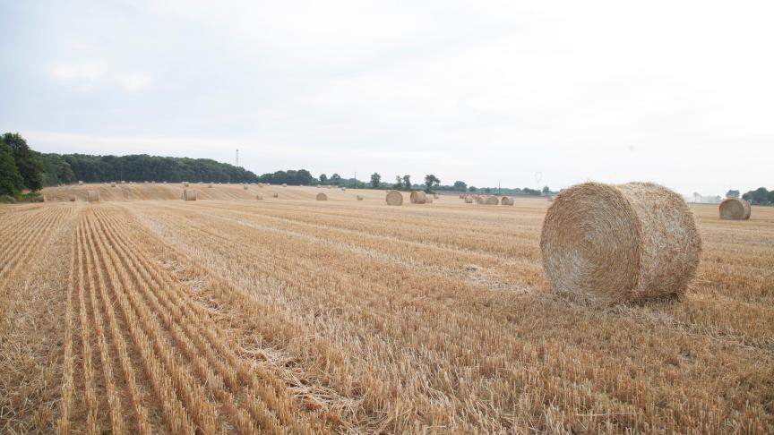 Frankrijk is de grootste landbouwproducent van de EU.