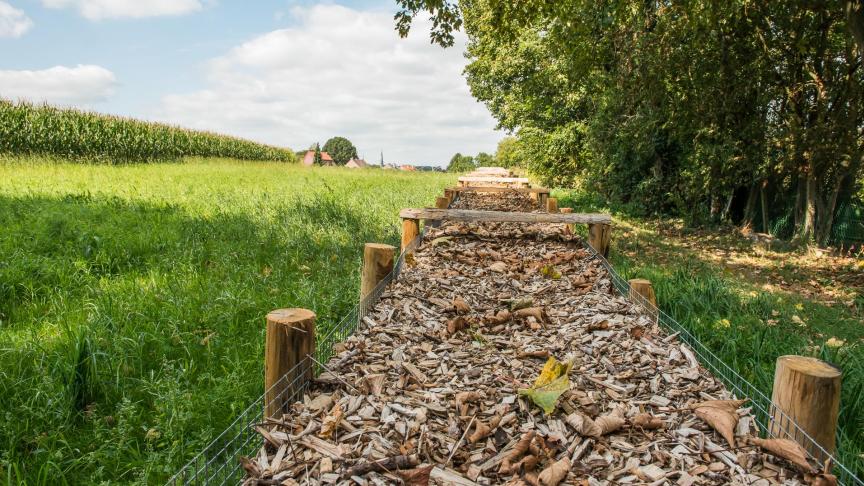 De houthakseldam van 80 m lang vertraagt het afstromend water en de meespoelende grond kan erachter bezinken.