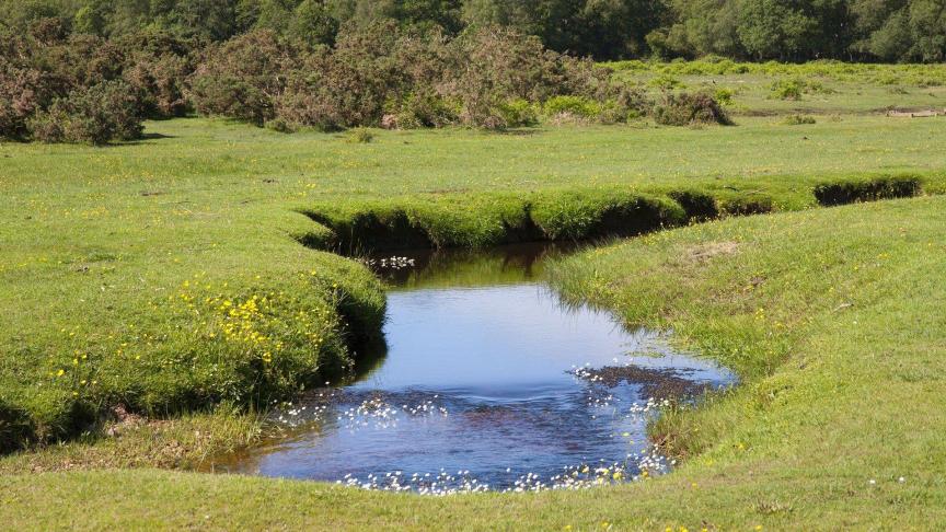 Met deze waterstudie en waterbalans is Limburg de eerste provincie die investeert in een bruikbare tool om onderbouwde en regiospecifieke maatregelen af te kondigen in periodes van droogte.