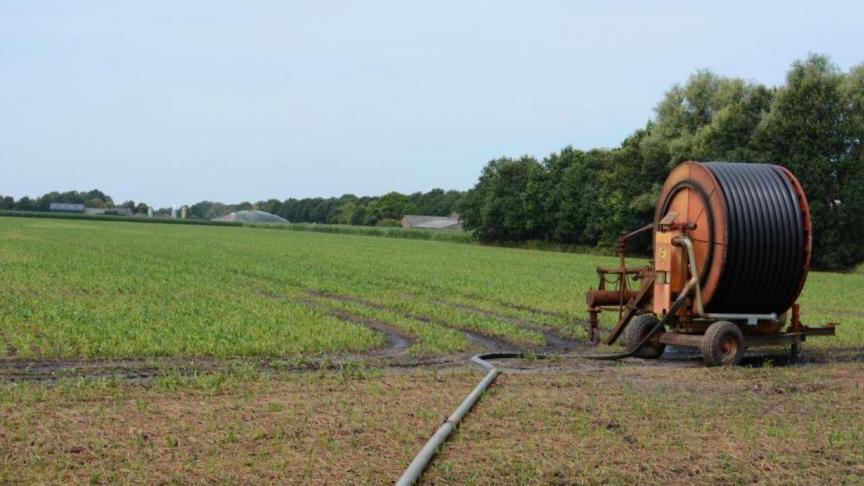 Het oppompverbod voor bepaalde kwetsbare waterlopen in West-Vlaanderen is problematisch voor heel wat droogtegevoelige teelten.