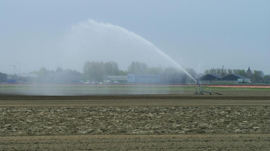 Beregenen van gewassen is niet verboden, maar land- en tuinbouwers mogen sinds 21 mei niet overal meer water oppompen.