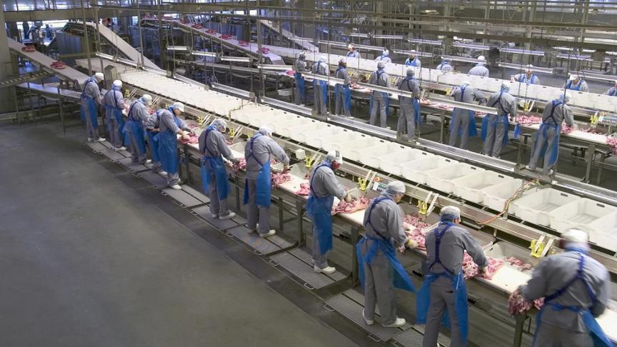 Danish Crown is de grootste vleesproducent van Europa. Het bedrijf telt meer dan 22.000 werknemers.