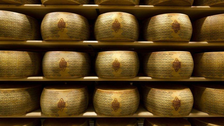 De export van kaas naar Rusland is verboden vanwege een Russisch embargo.