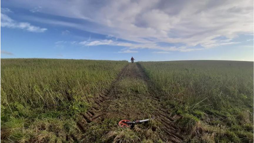 Aanplant van 2.9 kilometer heg bij een landbouwer in Overijse.