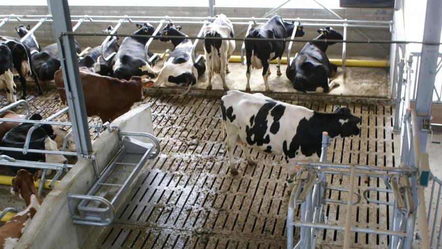 De melkprijs staat in heel Europa onder druk.
