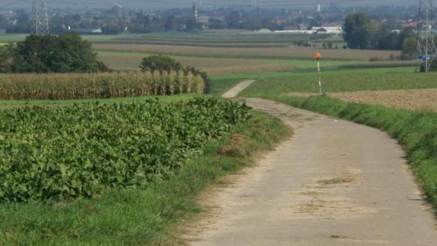 De oppervlakte van ons land bestaat voor 44
% uit landbouwgrond.