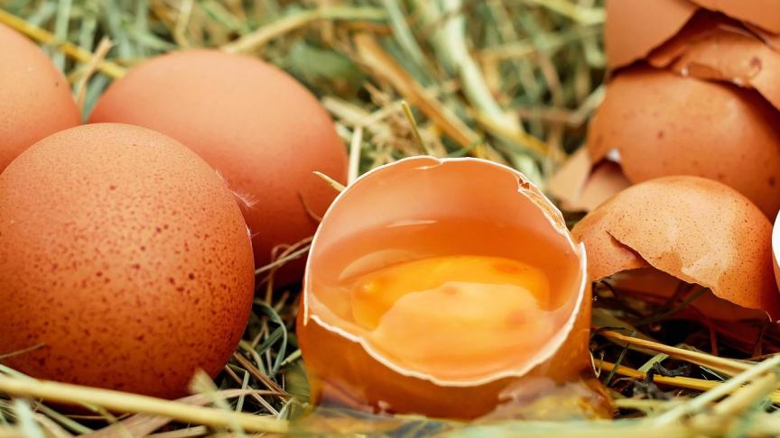 Eieren waren in 2019 het bioproduct met het hoogste marktaandeel in Zwitserland.