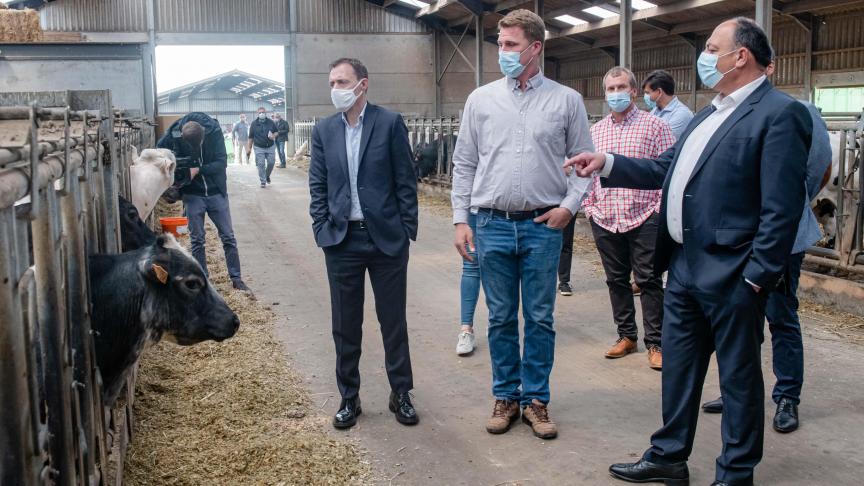 Delhaize verbindt zich er toe om 100% van haar rundvleesassortiment aan te kopen bij Belgische rundveehouders.