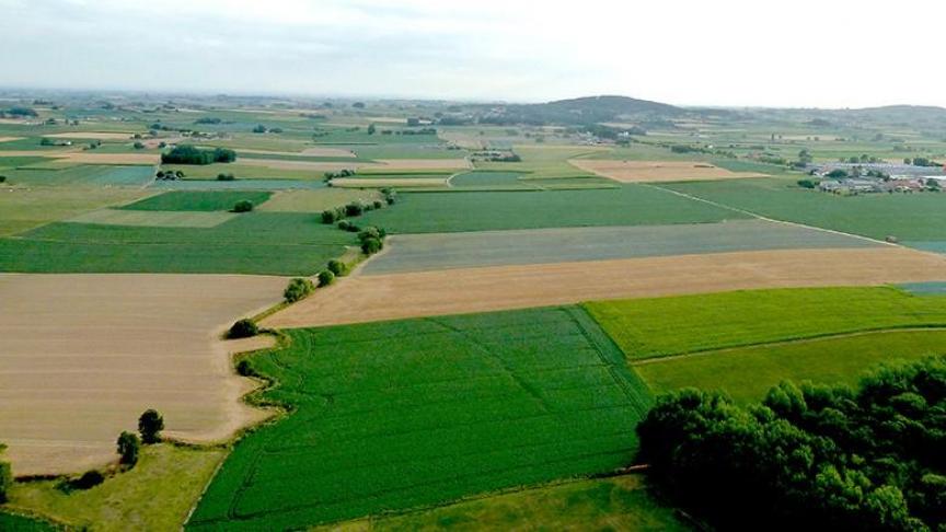 Om de problemen met waterkwaliteit en -kwantiteit aan te pakken, gaan Inagro en Regionaal Landschap Westhoek de komende jaren actief aan de slag met alle betrokken actoren in het gebied.