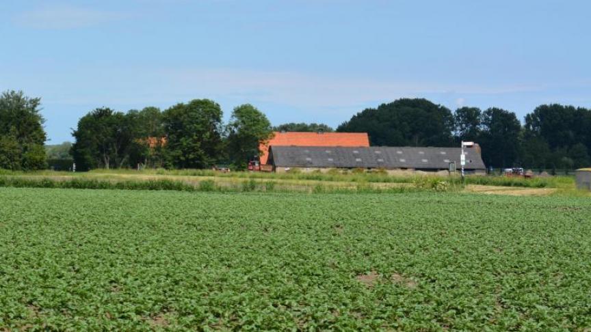 De gemiddelde oppervlakte per landbouwbedrijf ligt het hoogst in Vlaams-Brabant en Limburg en het laagst in West- en Oost-Vlaanderen.