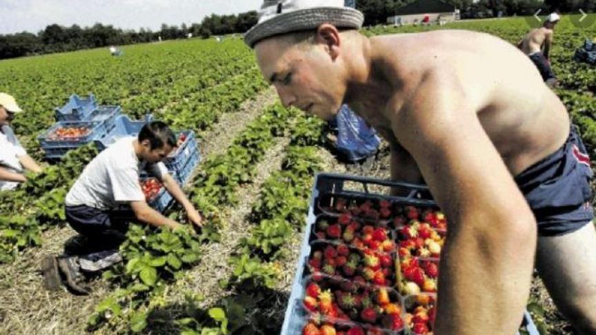 Betere coördinatie inzake nationale grensmaatregelen, veiligheidsregels en sociale zekerheid zijn een belangrijke en noodzakelijke stap om de grens- en seizoensarbeiders in de toekomst beter te beschermen en goede werk- en leefomstandigheden te garanderen.