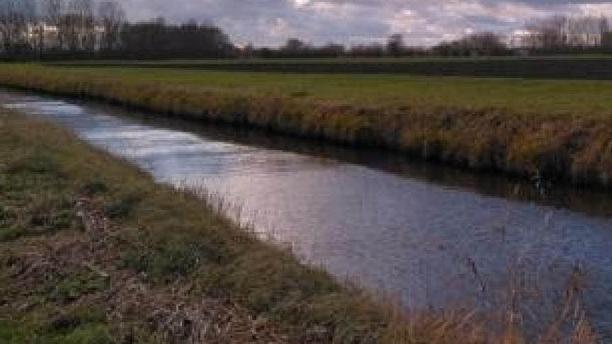 Daarom werd een tussentijdse evaluatie ingeschreven in het Mestdecreet. Die evaluatie is nu afgerond. De conclusie daarvan is dat de waterkwaliteit doorgaans niet is verbeterd en soms zelfs is afgenomen ten opzichte van de uitgangssituatie van MAP 6.