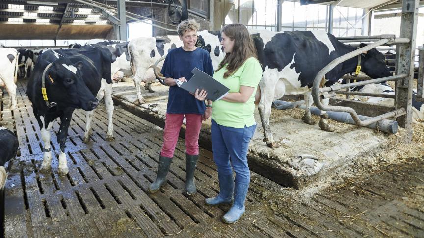 In die zogenaamde “Focus Farms” zullen een achttal melkveehouders onderling ervaringen uitwisselen over de arbeid op hun bedrijf.