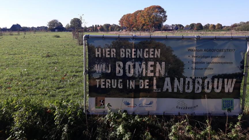 In oktober start een nieuw project omtrent agroforestry.