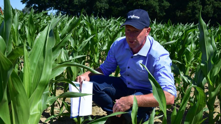 Mario Lagrou van Syngenta: Je hebt dus een granulaat met een startfosfor in 1 product. Op deze manier krijgt de plant een extra ondersteuning in de kieming en de startgroei.