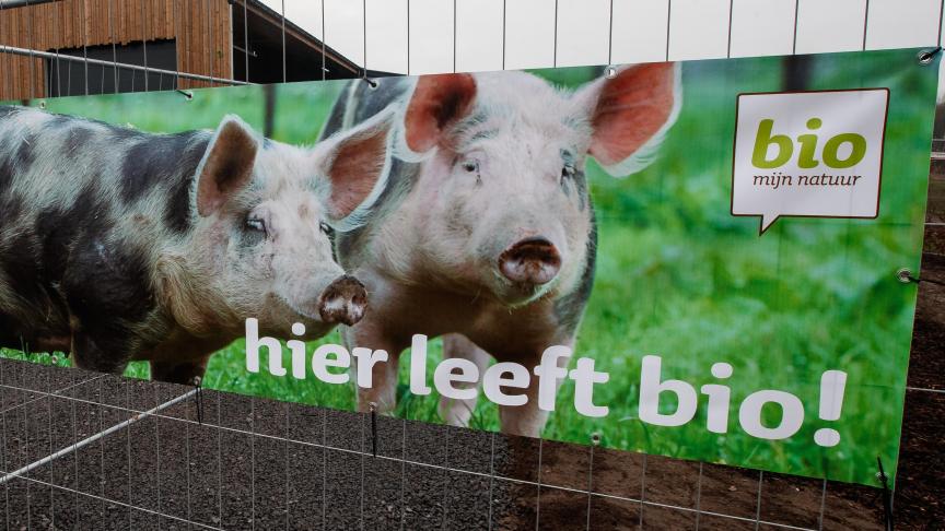 BioVar.be is een actieve speler in de biologische varkenssector.