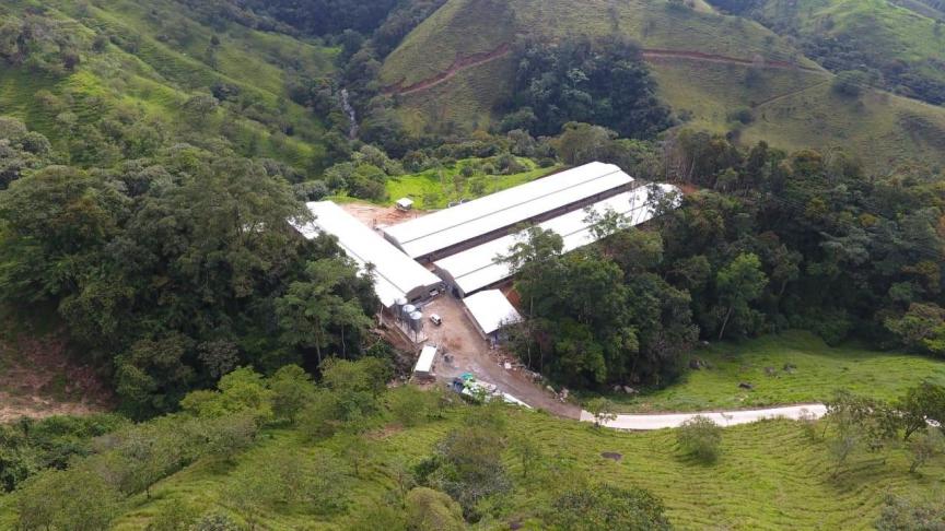 Vaak liggen de Colombiaanse varkensbedrijven in onherbergzame berggebieden.