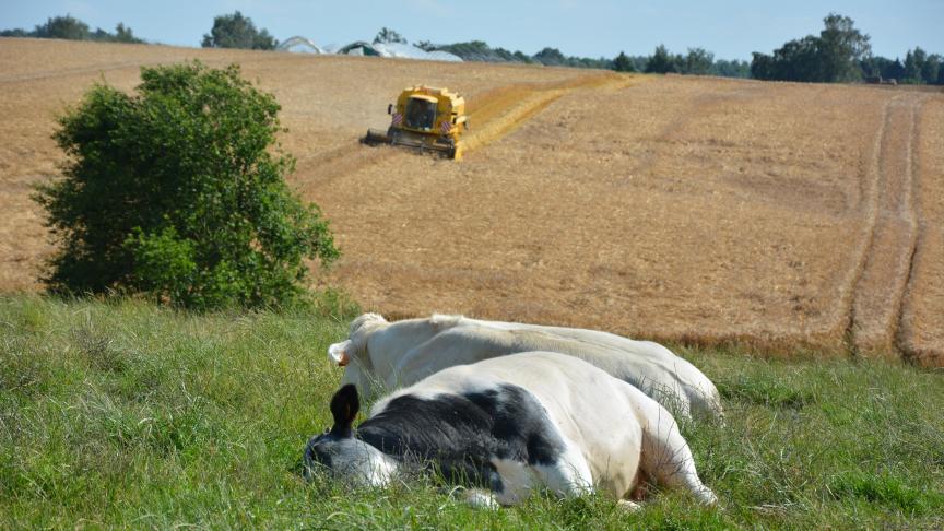 De landbouw verdient volgens het provinciebestuur van Oost-Vlaanderen een beter imago.