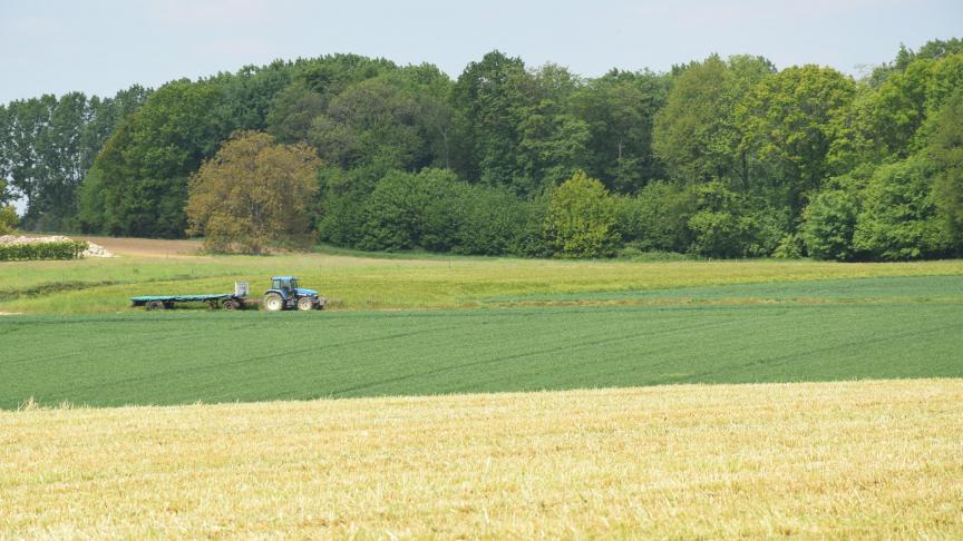 Op 10 jaar tijd is er 1.600 ha minder agrarish gebied in Vlaanderen.