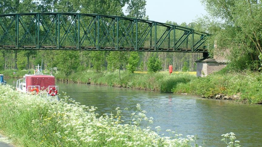 Landbouwers mogen geen water meer capteren uit de Dender in Ninove door een te grote aanwezigheid van schadelijke blauwalgen.