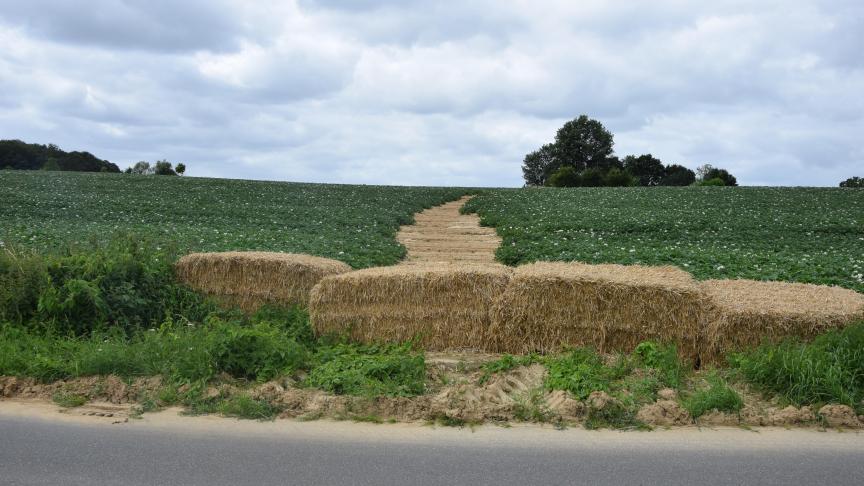 Deze aardappelteler stopte de modderstroom en bodemerosie door strobalen te leggen.