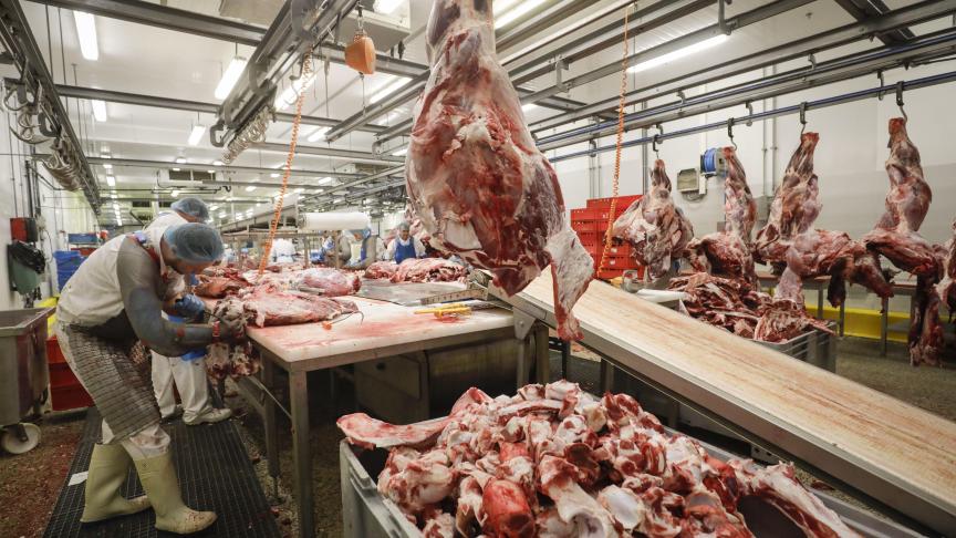 De vleessector is volgens de Duitse landbouwminister gebaat bij een verbod op het reclame maken met lage vleesprijzen.
