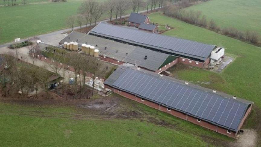 De coöperatieve verzekeraar Univé deed een succesvolle pilot op een boerderij in Groenlo. De 3.000 vierkante meter gesaneerd dak is voorzien van 700 zonnepanelen, waarop 50 huishoudens zijn aangesloten.