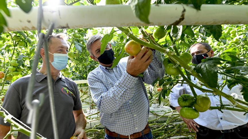 De uitnodiging voor de stage kwam er onder impuls van de Boerenbond.