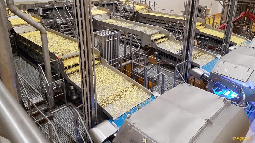 Vlaanderen heeft in 2019 bij aardappelen een handelsoverschot van 1,1 miljard euro. Dat is volledig te danken aan de uitvoer van aardappelbereidingen (zoals diepvrieskroketten en -frieten), goed voor 1,6 miljard euro.