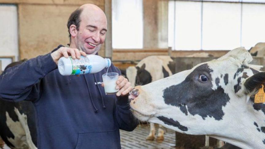 De melk komt van 455 lokale, Belgische melkveebedrijven die zich in een straal van 100 kilometer rond Bavegem bevinden.